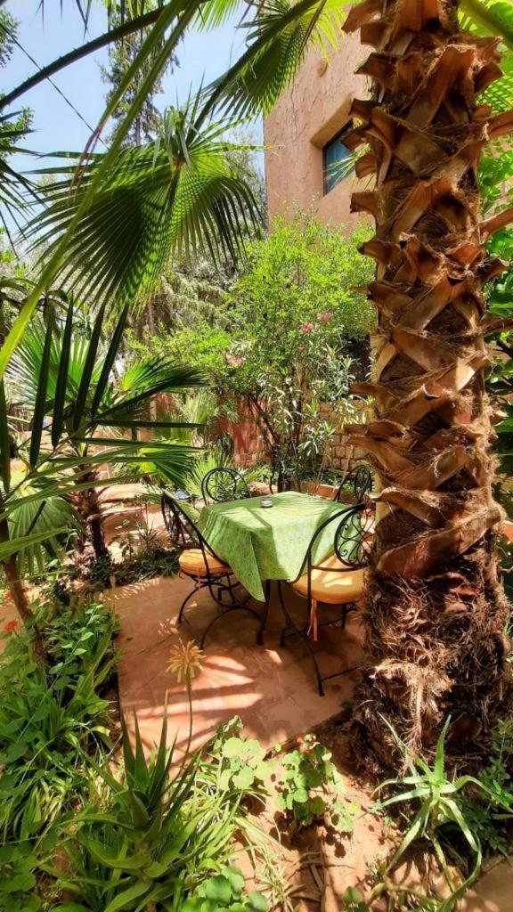 Dar Ouzoud Vegan Otel Oda fotoğraf