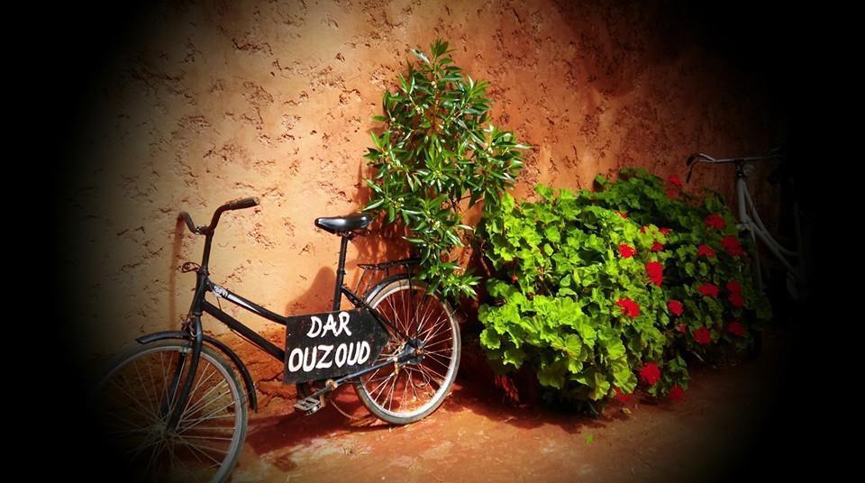 Dar Ouzoud Vegan Otel Dış mekan fotoğraf